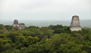 03.Tikal-canopy
