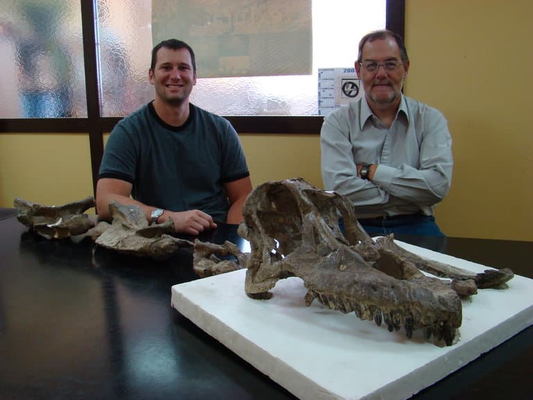 Descubren un nuevo dinosaurio en patagonia argentina: 