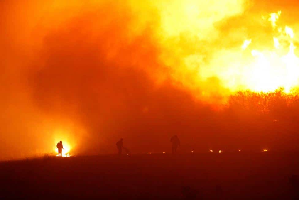 Expertos señalan que incendios forestales de Chile son de los peores de la historia de la humanidad