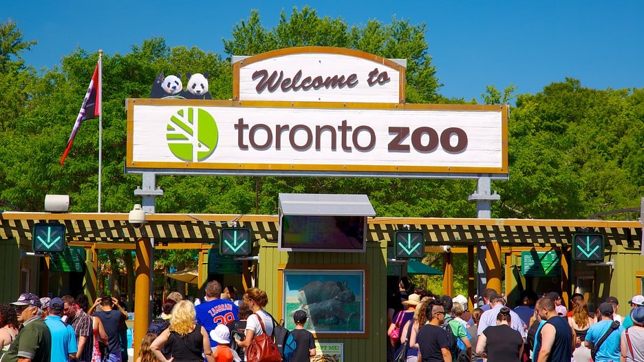 Zoológico de Toronto cierra sus puertas 