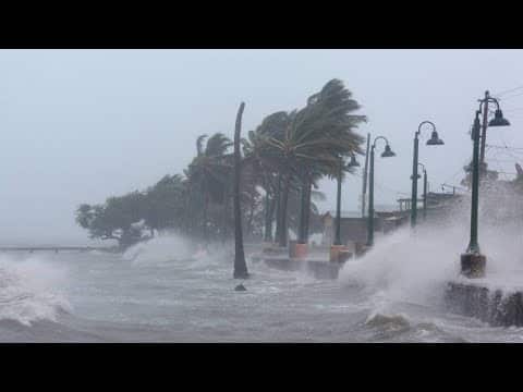 Devastador balance de Huracán Irma: 12 muertos en Florida y 43 en el Caribe
