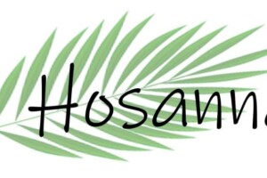 Palm Hosanna