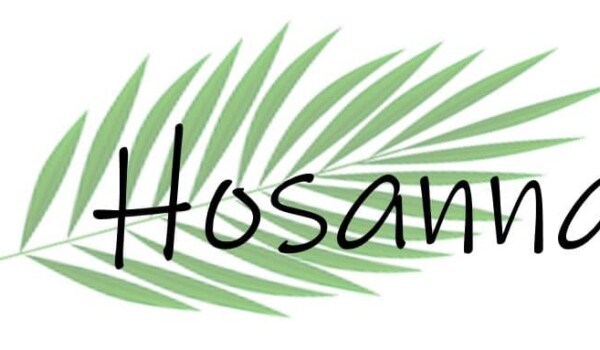 Palm Hosanna