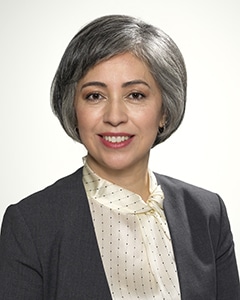 904a-Cllr-Bravo-web